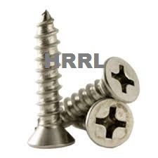 Stainless Steel Philips Head Self Tapping Screws Manufacturer
